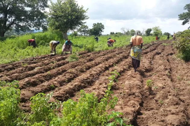 Women Farmers Nigeria