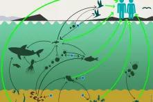 plastic-atlas-Microplastics building up on Lagos Beaches Bit by Bit.png