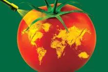 Plastic Atlas Cover Image