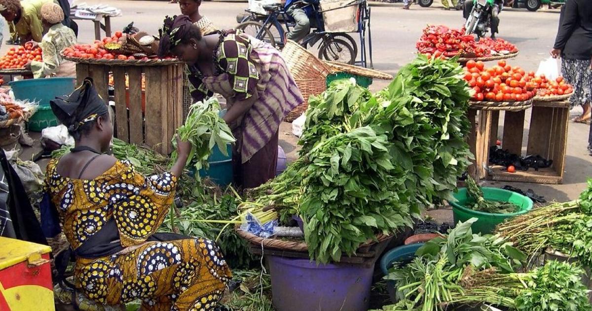 The Impact of COVID-19 on Small-Scale Farmers in Nigeria ...