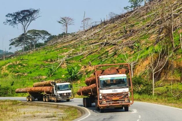 Logging Trucks (Grumiers) in Gabon