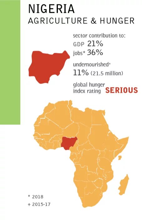 Building Alliances and Changing Policies: Women Farmers in Nigeria respond to the Climate Crisis