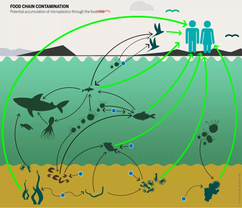 plastic-atlas-Microplastics building up on Lagos Beaches Bit by Bit.png